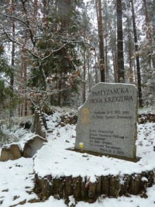 P1260588